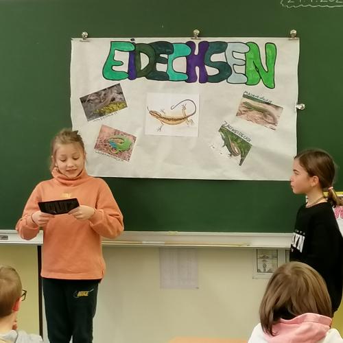 Eidechse_3
