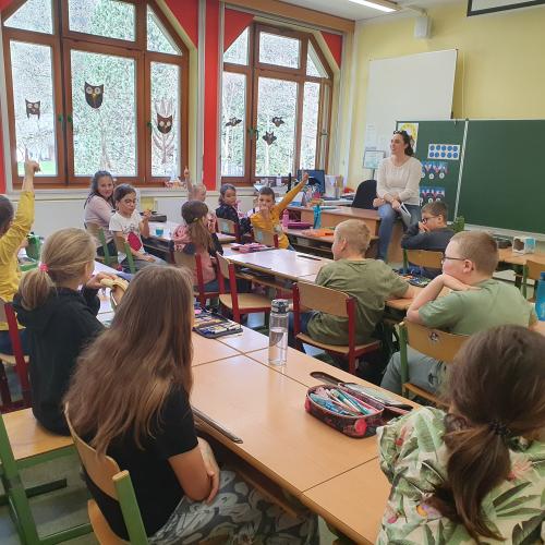 Bild_5