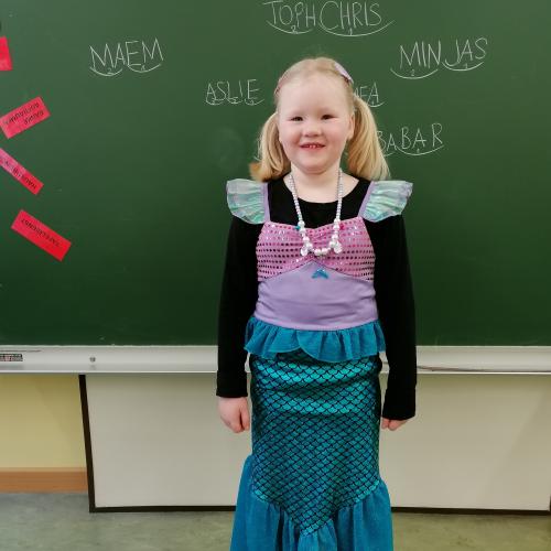 Fasching 8