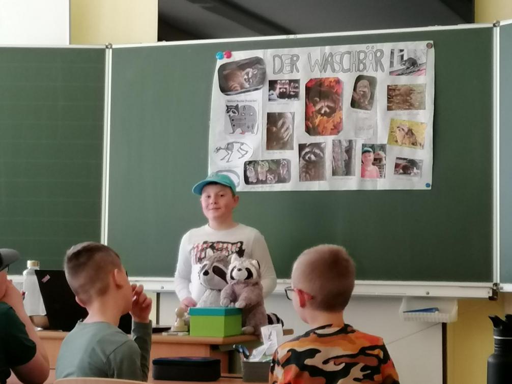 Waschbären
